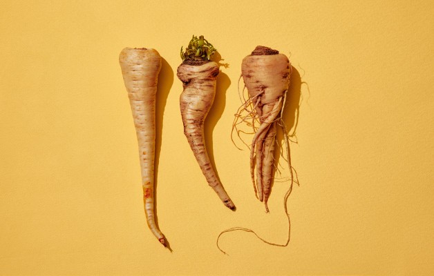 Misfits Market recauda $ 16.5 millones para su caja de suscripción de productos "feos"