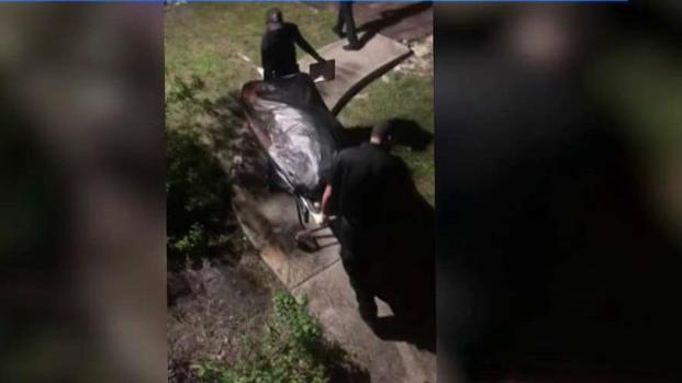 [TLMD - MIA] Investigan hallazgo de restos humanos en Miami Gardens