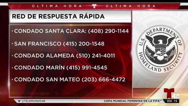 [TLMD - Bahia] Conoce tus derechos ante posibles redadas de ICE