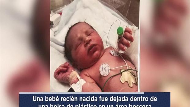 [TLMD - NATL] Hallan bebé recién nacida dentro de bolsa plástica