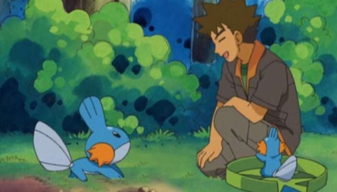 Mudkip Brock Mudkip Brock