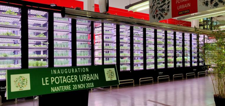 Infarm cierra $ 100M Serie B para escalar su ‘plataforma de agricultura urbana’