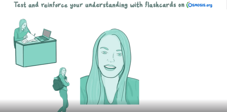 Ofreciendo videos educativos suplementarios en línea redes Osmosis $ 4 millones