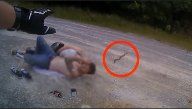 [TLMD - NATL] Abrupto despertar: siesta acaba por serpiente venenosa