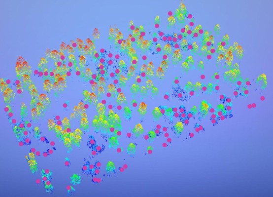 Week-in-Review: el interminable viaje por carretera autónomo de Google