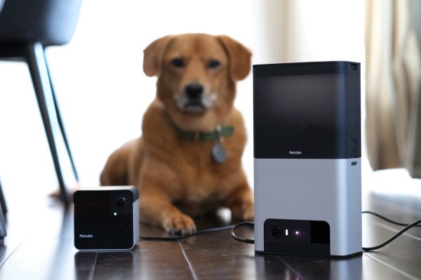 Bites 2 y Play 2 de Petcube entretienen a las mascotas y los seres humanos con Alexa incorporada