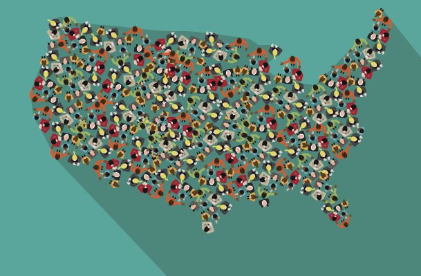 Cómo ir al mercado en el medio de América