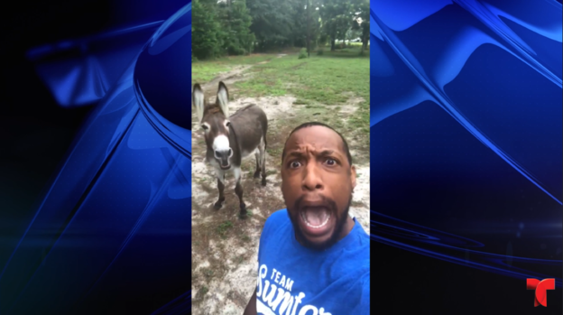 [TLMD - NATL] Viral: Burro “canta” con su dueño un tema de “El Rey León”