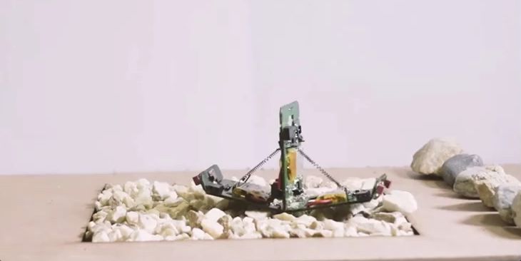 Las hormigas robóticas funcionan igual que las reales