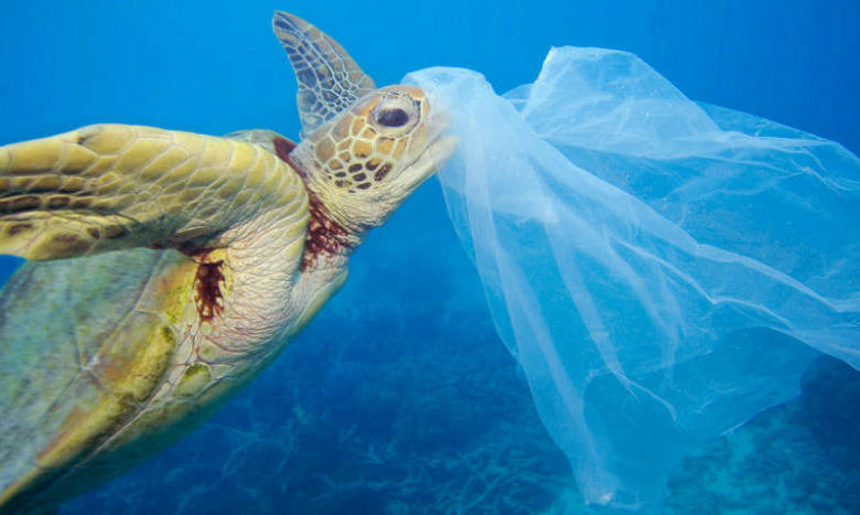 Ecologistas advierten riesgo de contaminación por máscaras y guantes