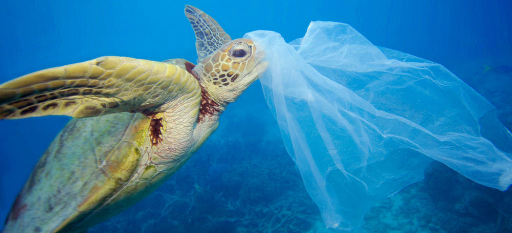 Ecologistas advierten riesgo de contaminación por máscaras y guantes