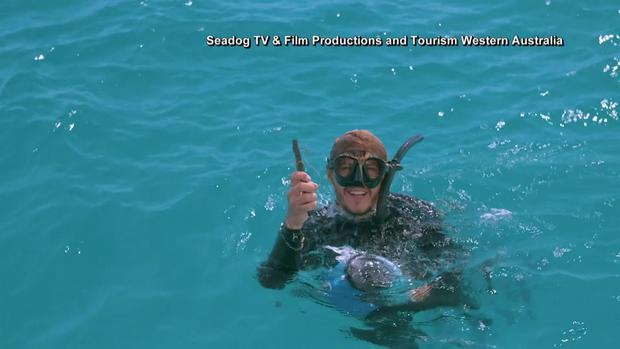 [TLMD - NATL] Ayudan a mantarraya que tenía anzuelos incrustrados en ojos