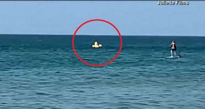 [TLMD - NATL] Pánico en día de playa: niño a la deriva cae de patito inflable