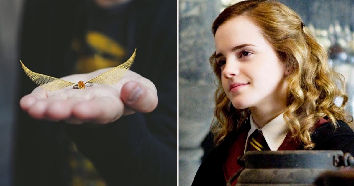 10 incre bles anillos de compromiso de Harry Potter ScreenRant