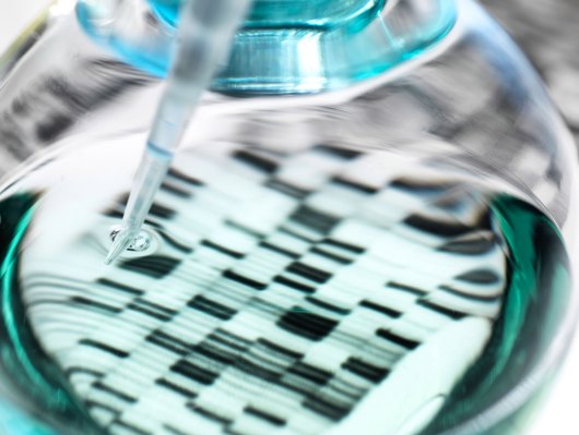 Investigadores de biotecnología se aventuran en la naturaleza para comenzar su propio negocio