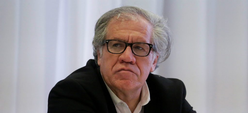 Todos deberíamos ser feministas radicales: OEA