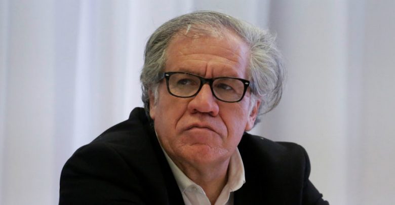 Todos deberíamos ser feministas radicales: OEA