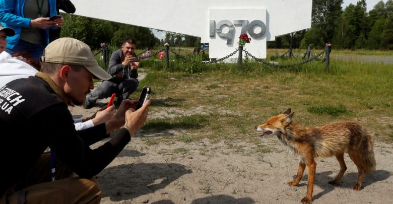 Viaja a Chernobyl por 50 mil pesos; ¿te atreverías?
