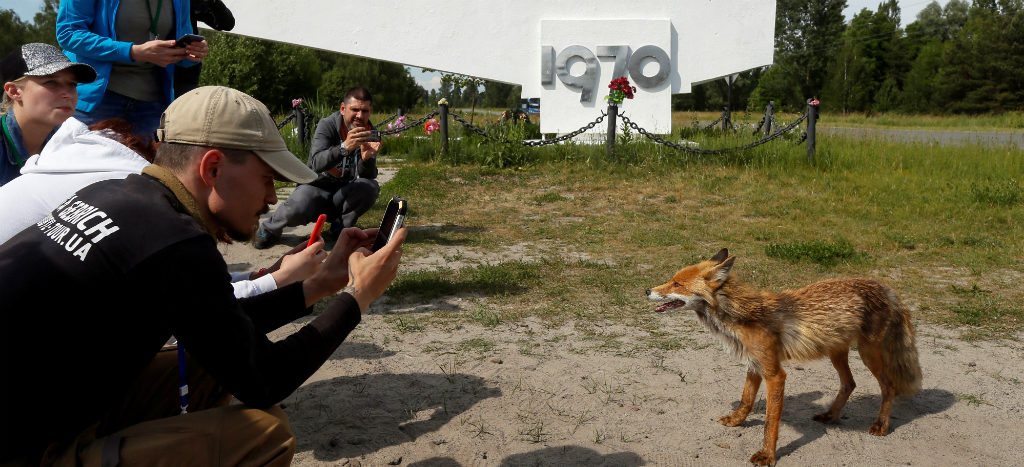 Viaja a Chernobyl por 50 mil pesos; ¿te atreverías?