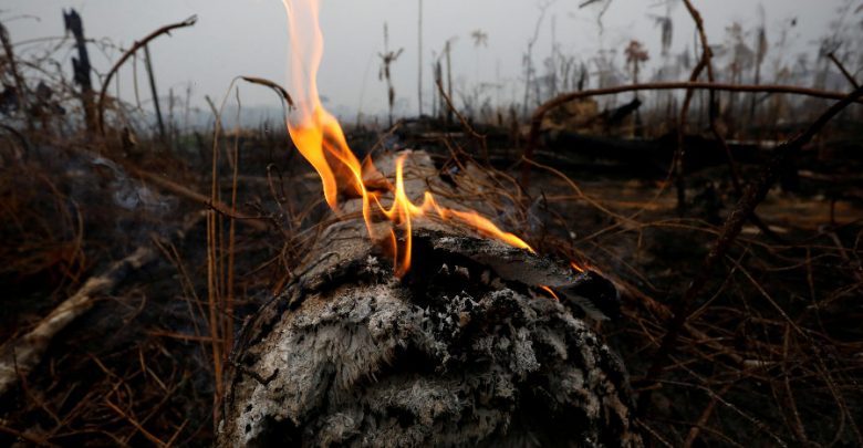 Asegura Bolsonaro que incendios no han alcanzado áreas protegidas