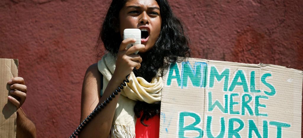 Bomberos argentinos ayudarán a combatir incendio en Amazonas
