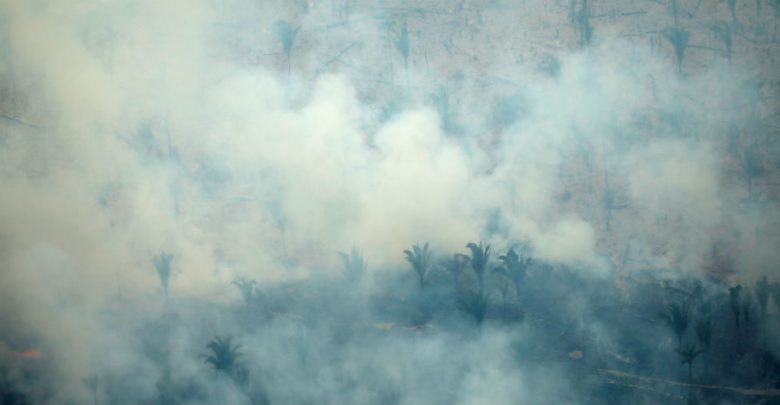 Detecta NASA “penacho” de monóxido de carbono en la Amazonia, por los incendios
