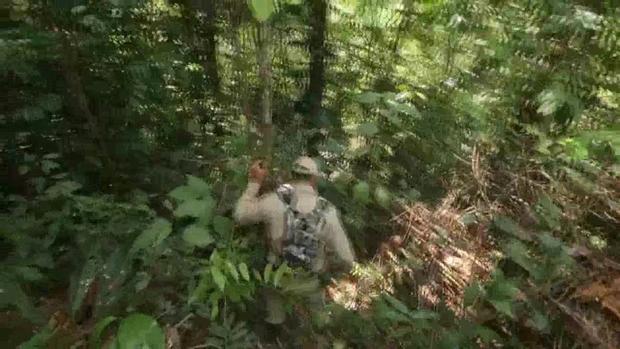 [TLMD - LV] Cuerpos de emergencia aumentan esfuerzos en la lucha contra el fuego que consume la Amazonía