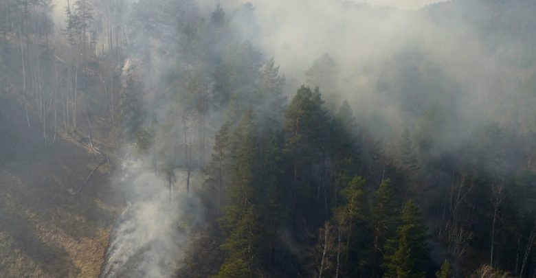 Arden tres millones de hectáreas de bosques en Siberia | Video