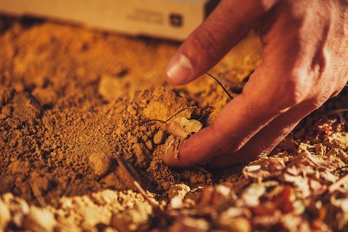 Biome Makers cierra $ 4M para evaluar la calidad de las "bacterias intestinales" del suelo de una granja