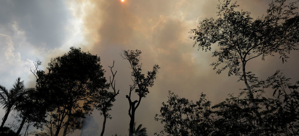 Bolsonaro prohíbe uso de fuego por dos meses en Brasil