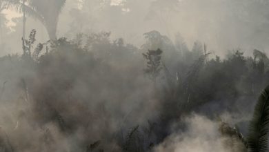 Brasil rechaza ayuda del G7 para combatir el fuego en la Amazonia