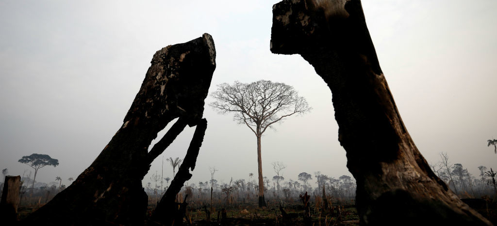 Colombia y Perú refuerzan cooperación para proteger la Amazonia | Videos