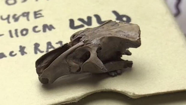 Sorprendente: el huracán que cambió la historia en EEUU