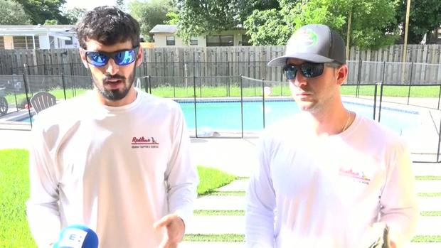 Exterminadores de iguanas: cómo se deben matar