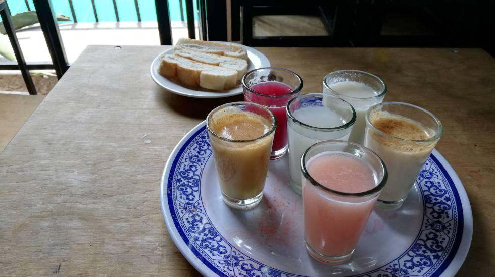 Degustación en el Museo del Pulque y las Pulquerías.