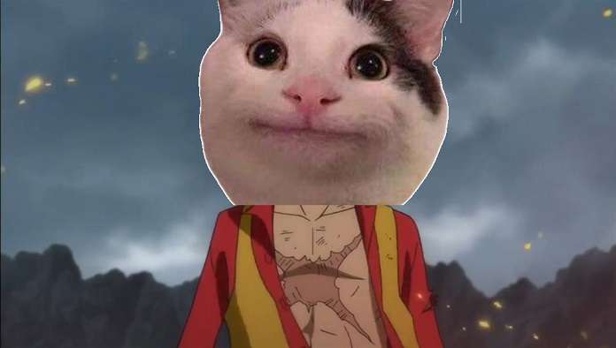 Gato de una pieza Gato de una pieza