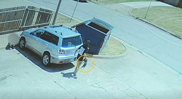 [TLMD - NATL] Sin piedad arroja perrito vivo como una bolsa de basura