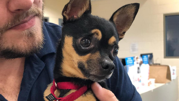 #DesocuparLosAlbergues alrededor del país