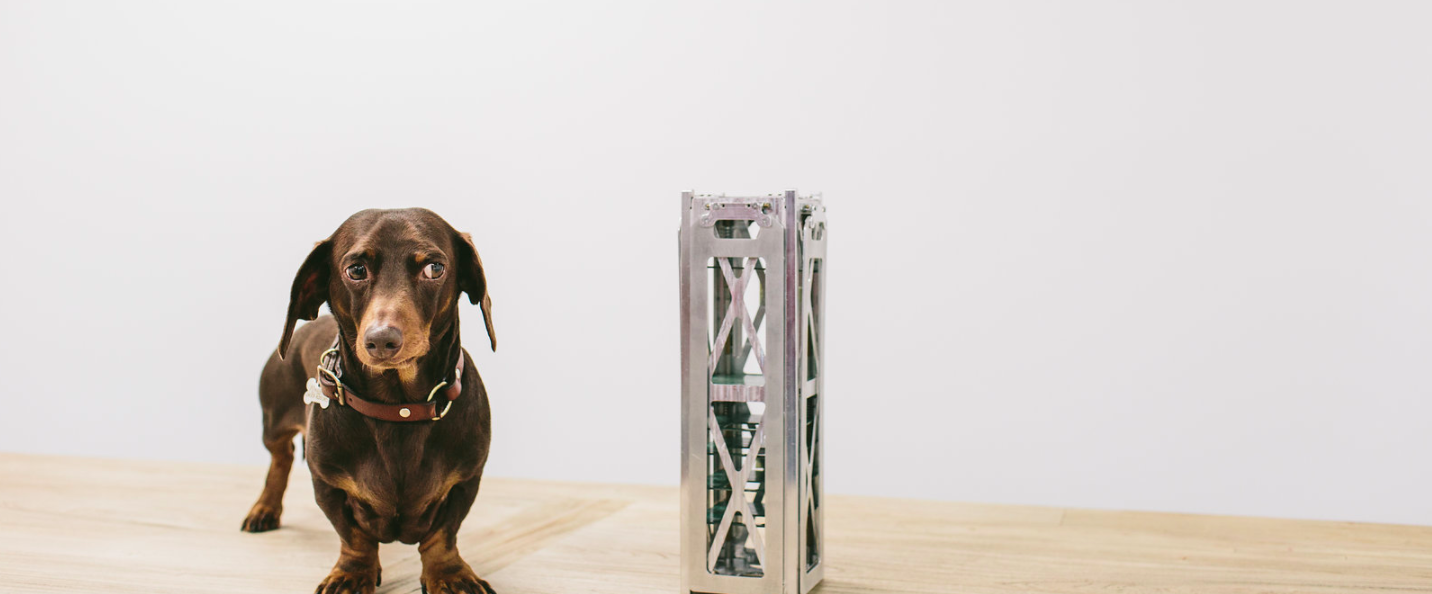 Perro de la flota de nanosatélites