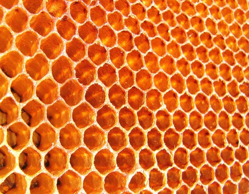 Honeycomb.io recauda $ 11.4M para ayudar a los desarrolladores a observar y depurar sus aplicaciones