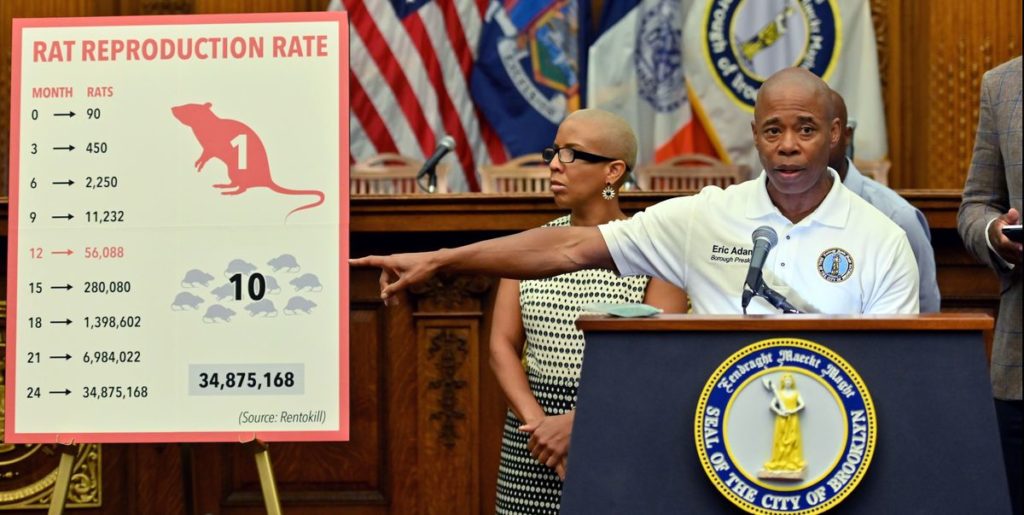 Nueva York tiene un nuevo arma secreta para derrotar a todas las ratas