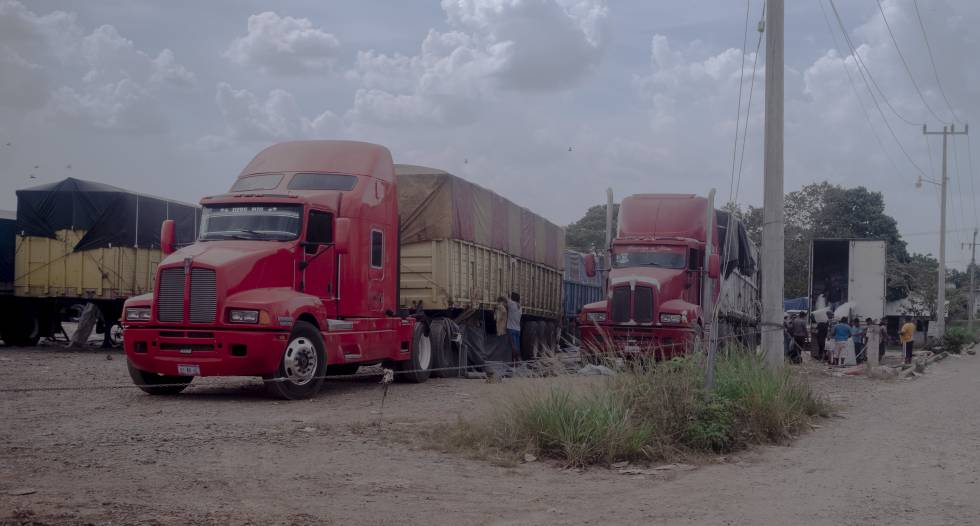 Camiones cargados de maíz en el paso fronterizo