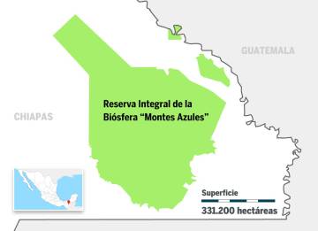 La selva Lacandona se queda sin oxígeno