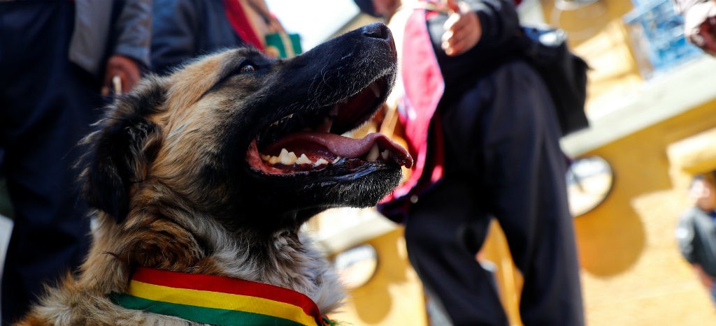 Morales llama a poner un alto a protestas en Bolivia; reportan 2 muertos