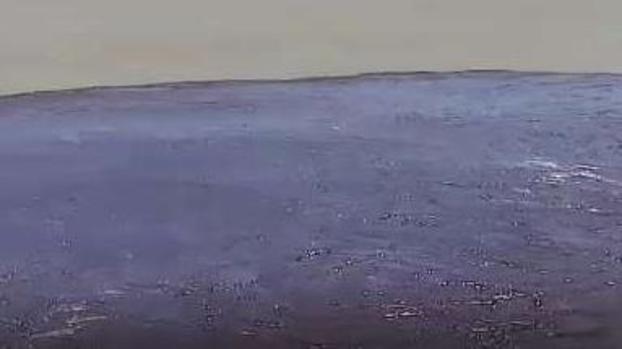 Misterio: desconocen el origen de una marea negra