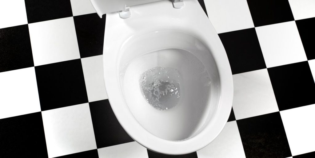 Esta empresa quiere fotos de tu caca. Para la ciencia.