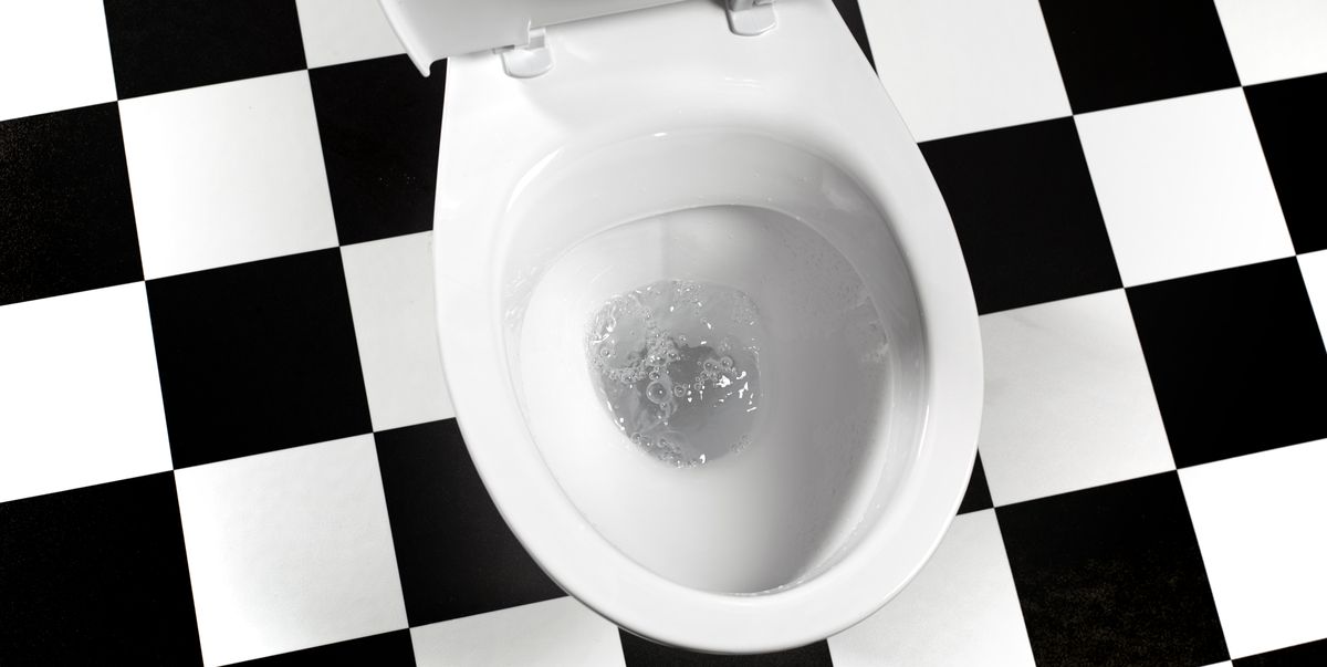 Esta empresa quiere fotos de tu caca. Para la ciencia.