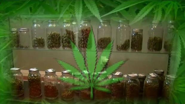 [TLMD - LA] Un año de marihuana legal en California