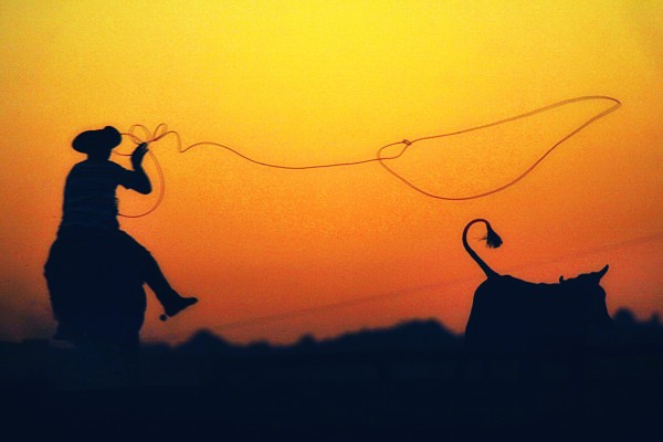 Resumen de América Latina: Uber adquiere Cornershop, Softbank invierte en Buser y Olist