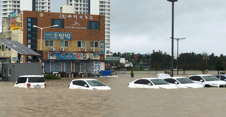 Tifón Mitag deja cuatro muertos a su paso por Corea del Sur | Video
